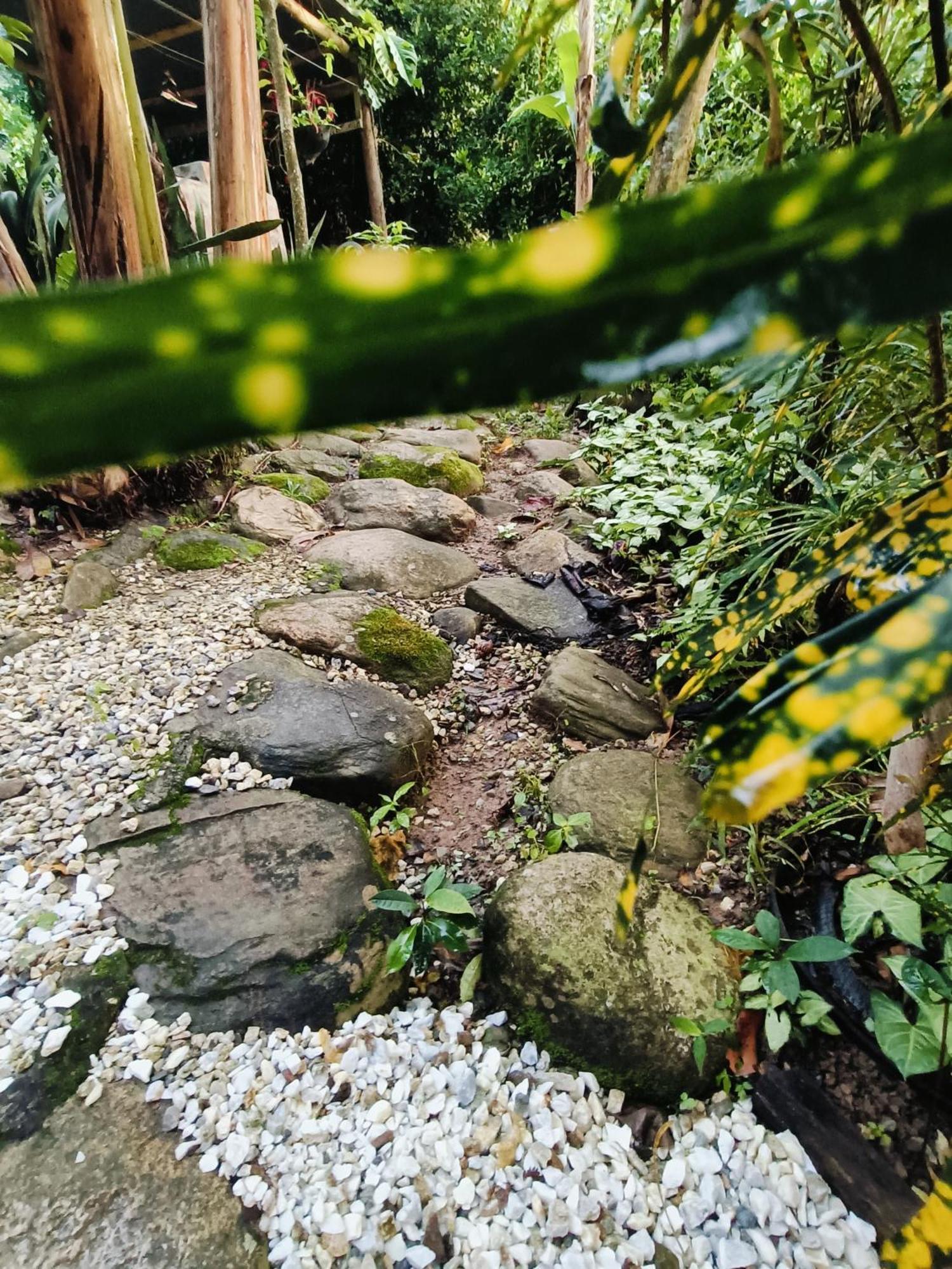 El Eden Minca Villa Eksteriør bilde