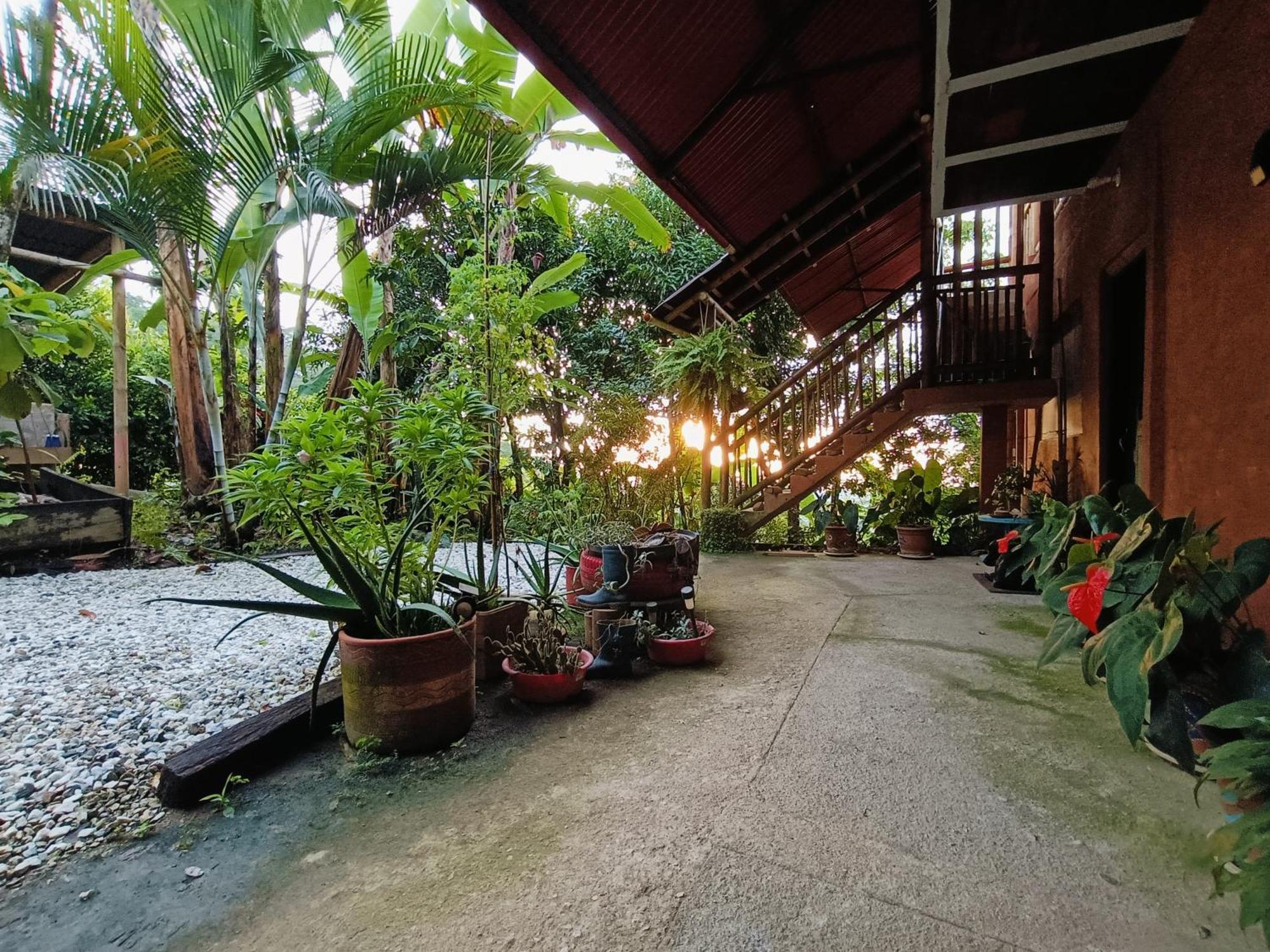 El Eden Minca Villa Eksteriør bilde